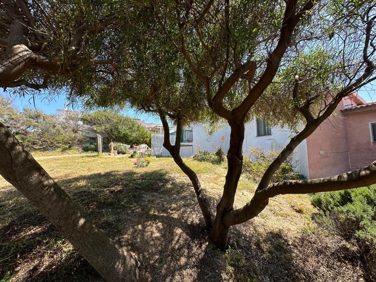 Appartamenti Magnolie-La Pineta Valledoria  Εξωτερικό φωτογραφία
